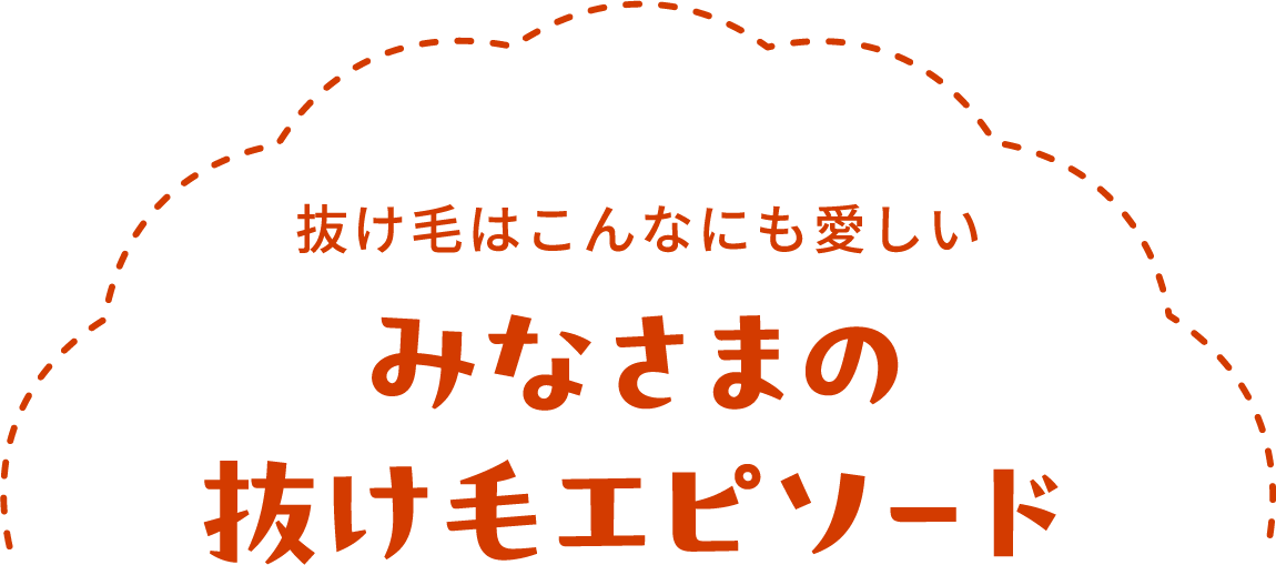 抜け毛はこんなにも愛おしい みなさまの抜け毛エピソード