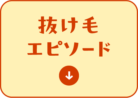 抜け毛エピソード