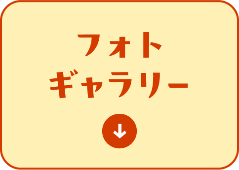 フォトギャラリー