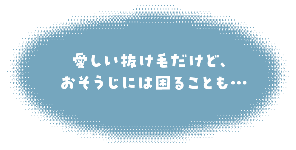 愛しい抜け毛だけど、おそうじには困ることも・・・