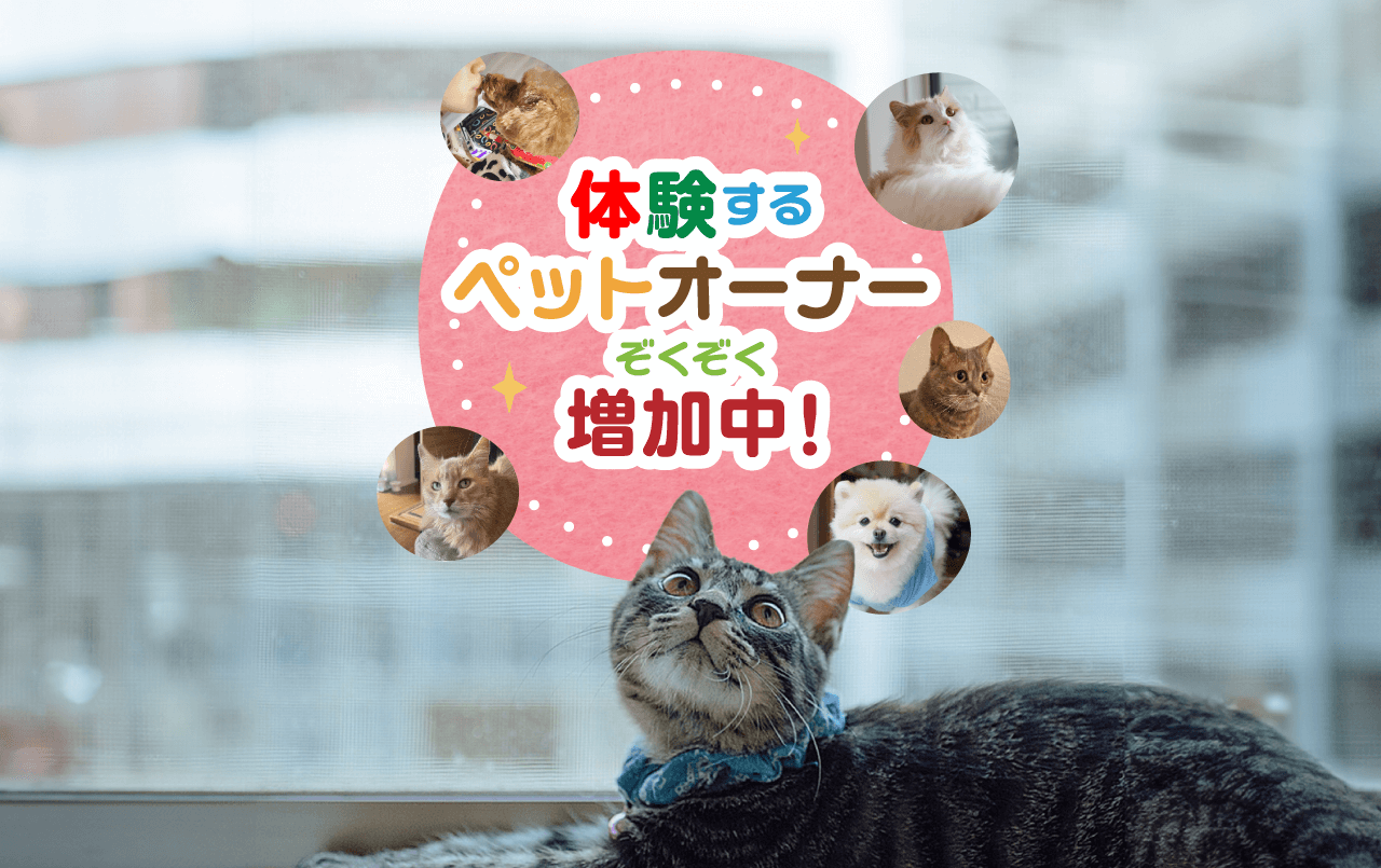 体験するペットオーナーぞくぞく増加中！