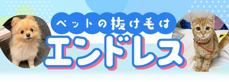 ペットの抜け毛はエンドレス