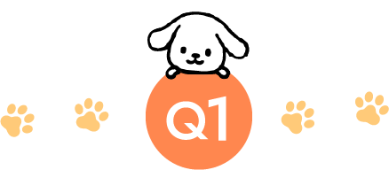 q1