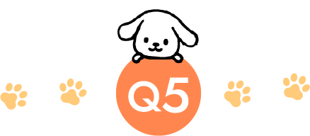 q5