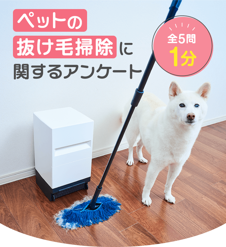ペットの抜け毛掃除に関するアンケート 全5問1分 アンケートにご協力ください ペットのお掃除がラクになるお得情報をお届けします。