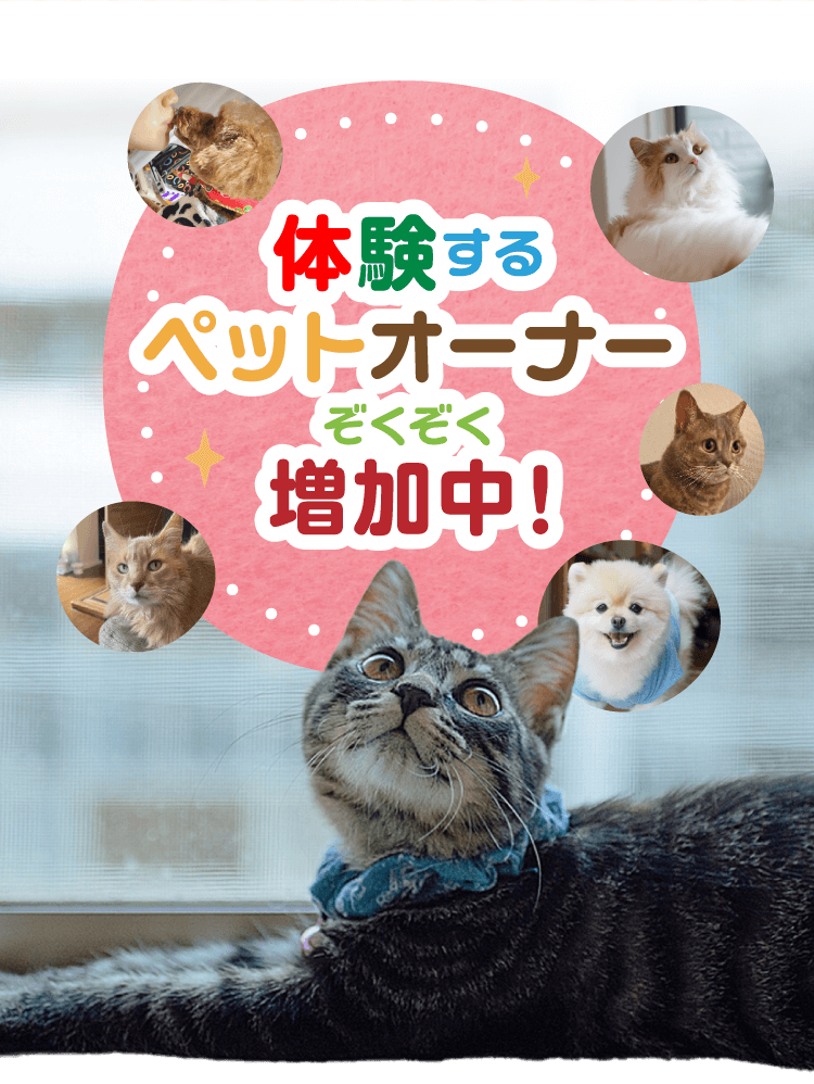 体験するペットオーナーぞくぞく増加中