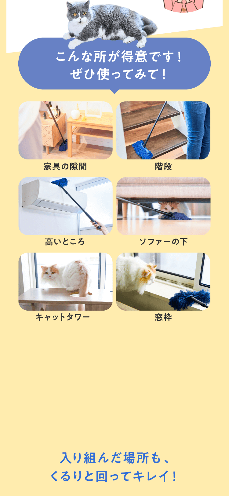 こんな所が得意です！ぜひ使ってみて！