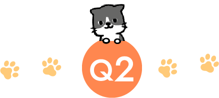 q2
