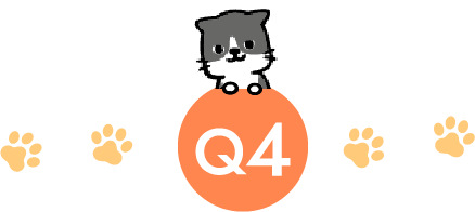 q4