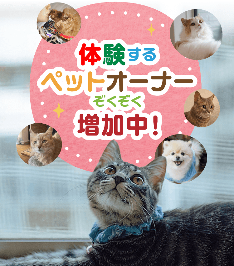 体験するペットオーナーぞくぞく増加中！