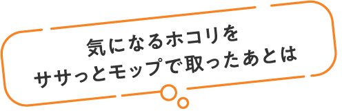 気になるホコリをササっとモップで取ったあとは