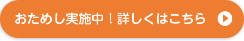 おためし実施中！詳しくはこちら