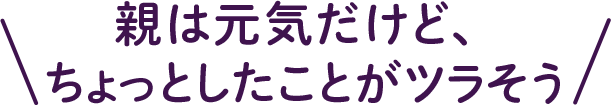 親は元気だけど、ちょっとしたことがツラそう