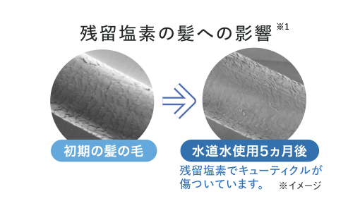 残留塩素の神絵の影響