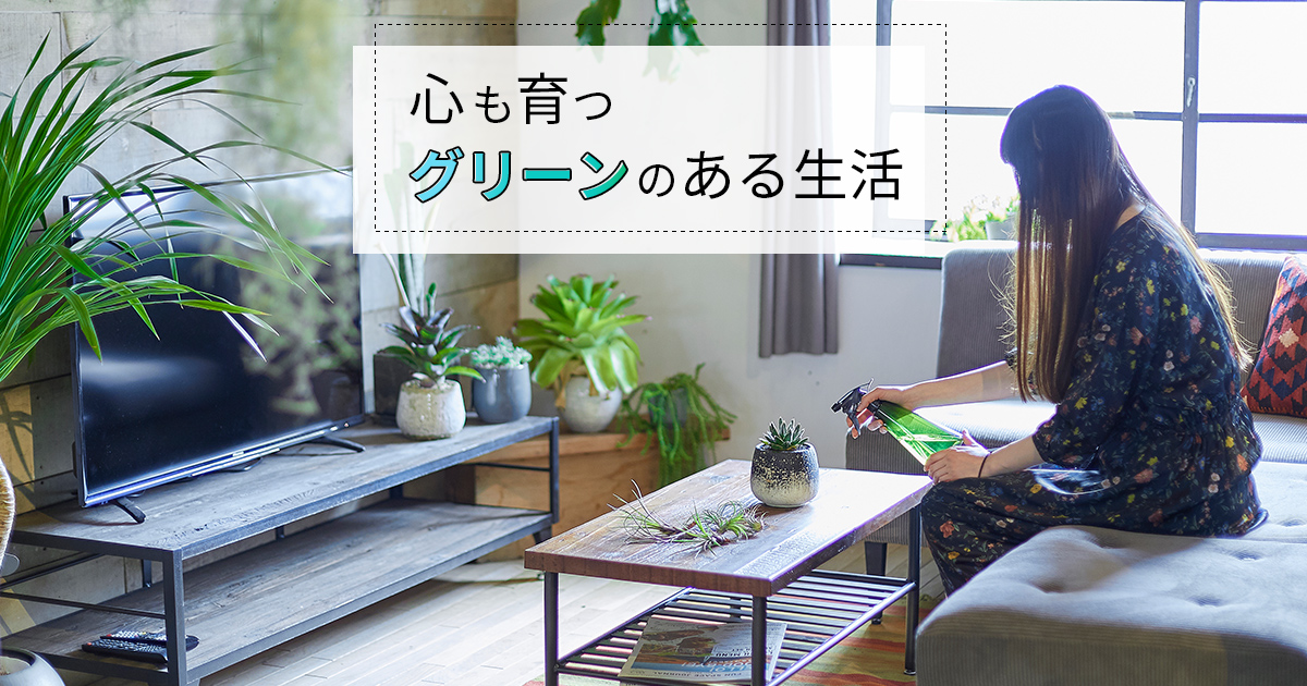 編集者・ライター、website