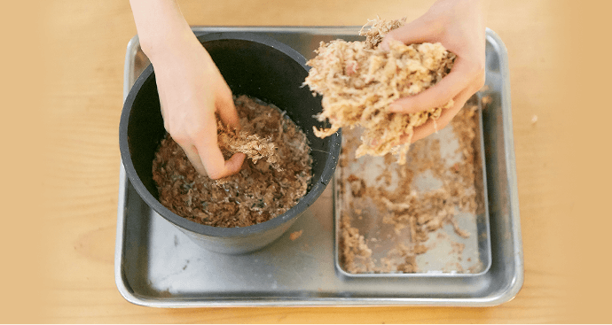 step1 水苔を水に浸ける