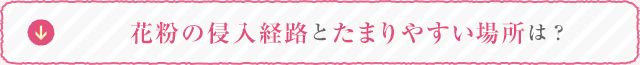 花粉の侵入経路とたまりやすい場所は？