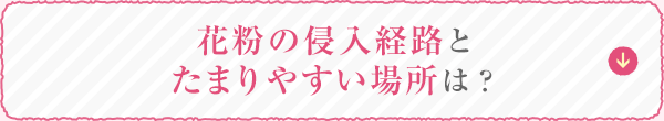 花粉の侵入経路とたまりやすい場所は？