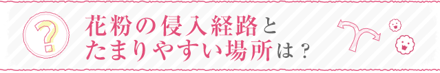 花粉の侵入経路とたまりやすい場所は？