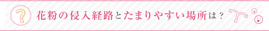 花粉の侵入経路とたまりやすい場所は？