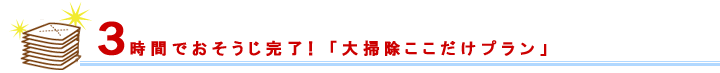 3時間でおそうじ完了！「ここだけ大掃除プラン」