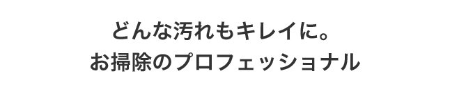 どんな汚れもキレイに。お掃除のプロフェッショナル