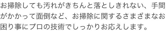 お掃除しても汚れがきちんと落としきれない、手間がかかって面倒など、お掃除に関するさまざまなお困り事にプロの技術でしっかりお応えします。