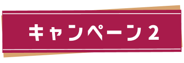 キャンペーン2