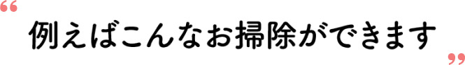 例えばこんなお掃除ができます