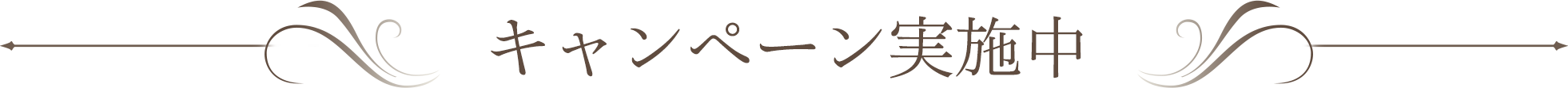 キャンペーン実施中