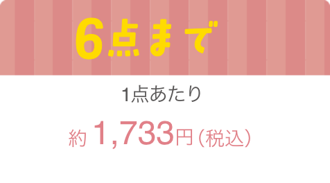 6点まで1点当たり約1,733円（税込）