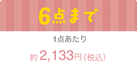 6点まで1点当たり2,133円（税込）