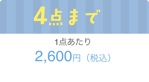 4点まで1点当たり約2,600円（税込）