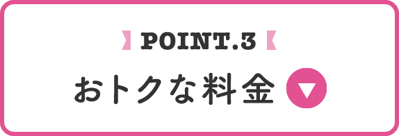 point.3 おトクな料金