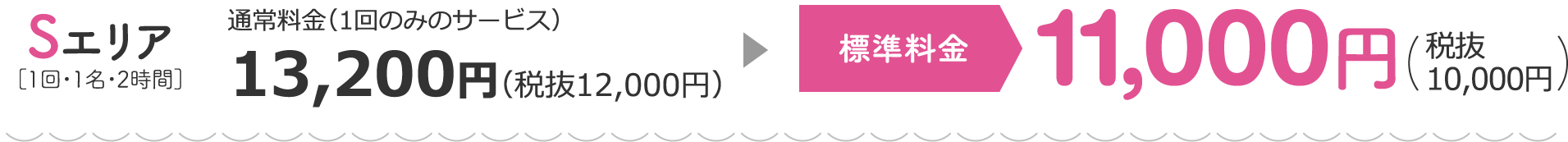 Sエリア 特別料金（1回のみのサービス）11,000円