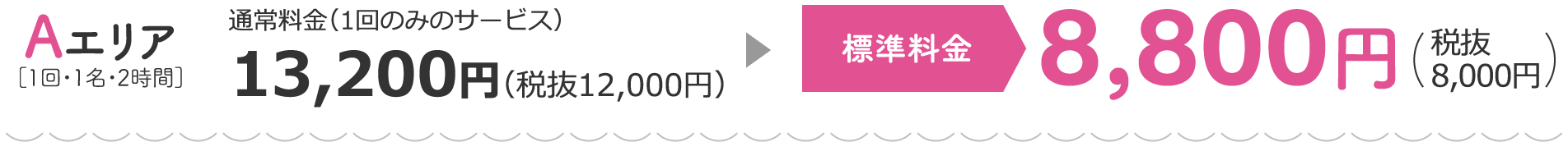 Aエリア 特別料金（1回のみのサービス）8,800円 