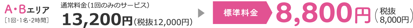 A・Bエリア 特別料金（1回のみのサービス）8,800円