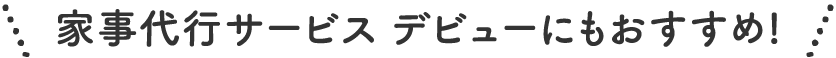 在家事代行サービス デビューにもおすすめ!