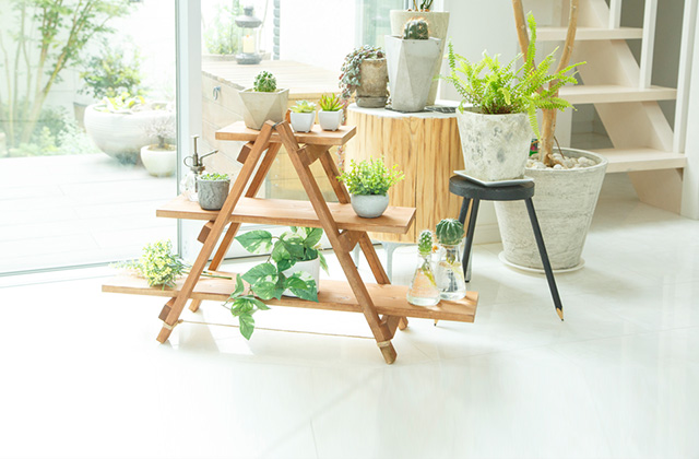 電動ドライバーで木材を簡単加工!小物や観葉植物を飾れるラダーシェルフを作ってみよう