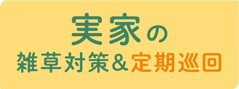 実家の雑草対策＆定期巡回