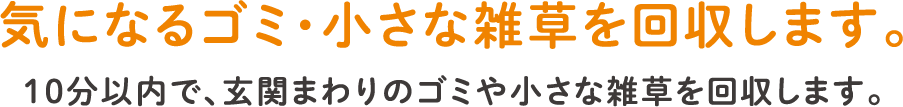 気になるゴミ・小さな雑草を回収します。