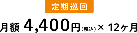 定期巡回 月額4,400円（税込）×12ヶ月