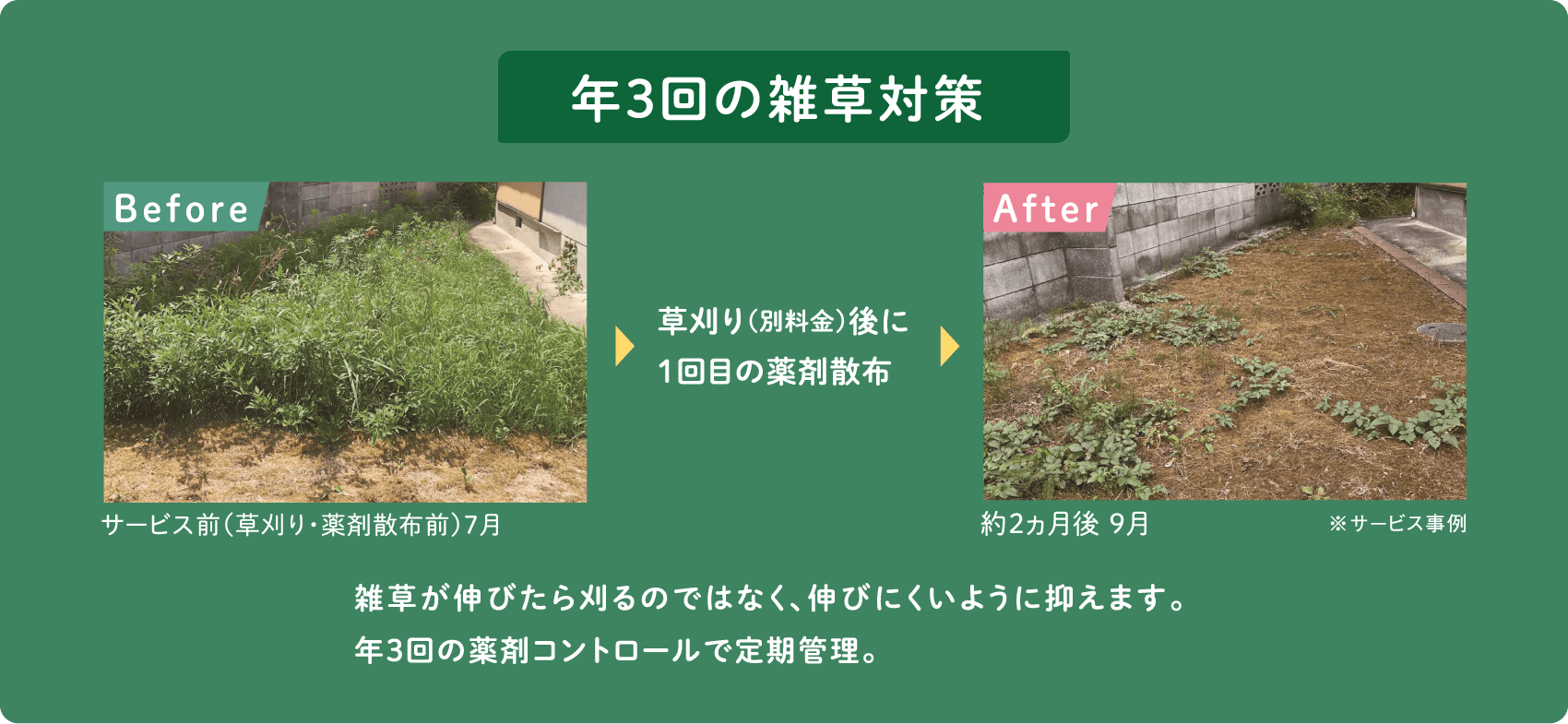 年3回の雑草対策