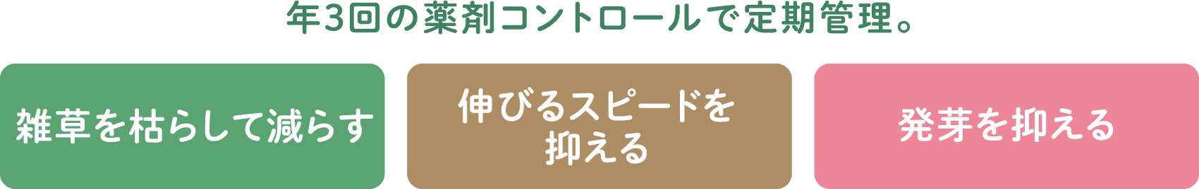 年3回の薬剤コントロールで管理