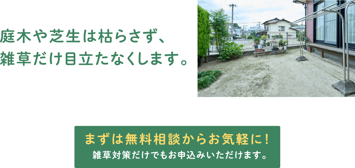 庭木や芝生は刈らさず、雑草だけを目立たなくします。
