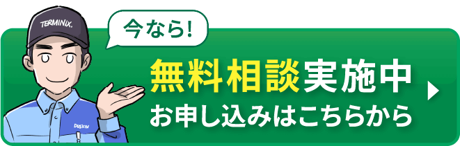 無料相談実施中　お申し込みはこちらから