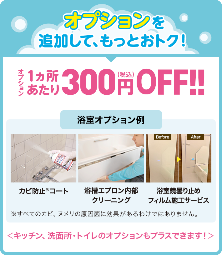 一緒にオススメ!オプションサービスで、さらに衛生的 ※オプションは、単品でのサービスはお受けできません。該当箇所のクリーニングと合わせてお申し込みください。