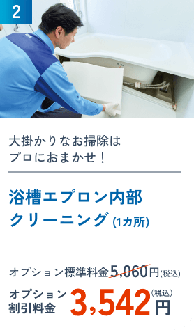 2 浴槽エプロン内部クリーニング (1カ所)