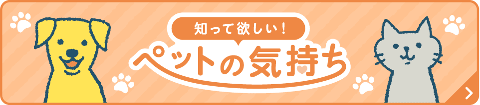 知ってほしい！ペットの気持ち