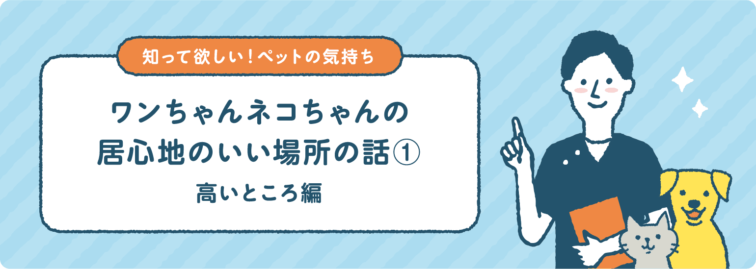 ワンちゃんネコちゃんの居心地のいい場所の話① 高いところ編